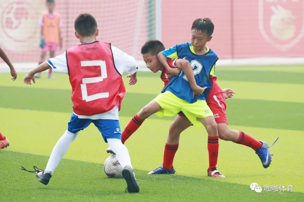 星空官网-包含【年轻新星】未来之星如何快速崛起？青训案例分享的词条