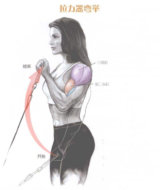 【青少年训练指南】入门到精通的训练路线图的简单介绍