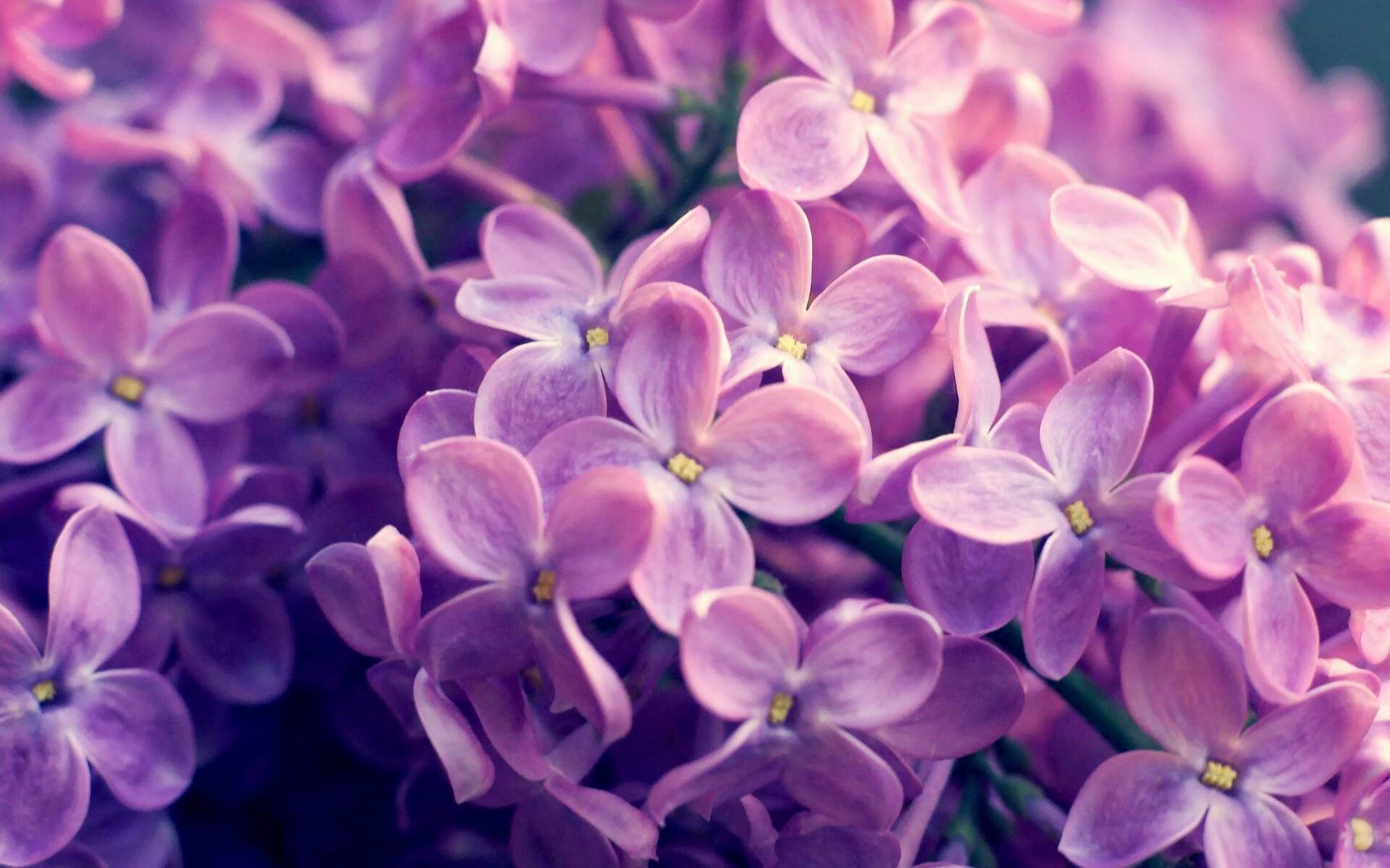 星空体育官方网站-NBA球星拉文宣布赛季报销，公牛进军季后赛形势堪忧，拉文nba数据