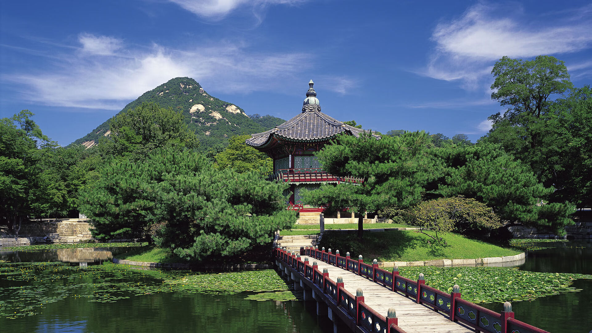 亚洲球队欲在亚冠赛道上大放异彩，亚洲足球俱乐部冠军联赛