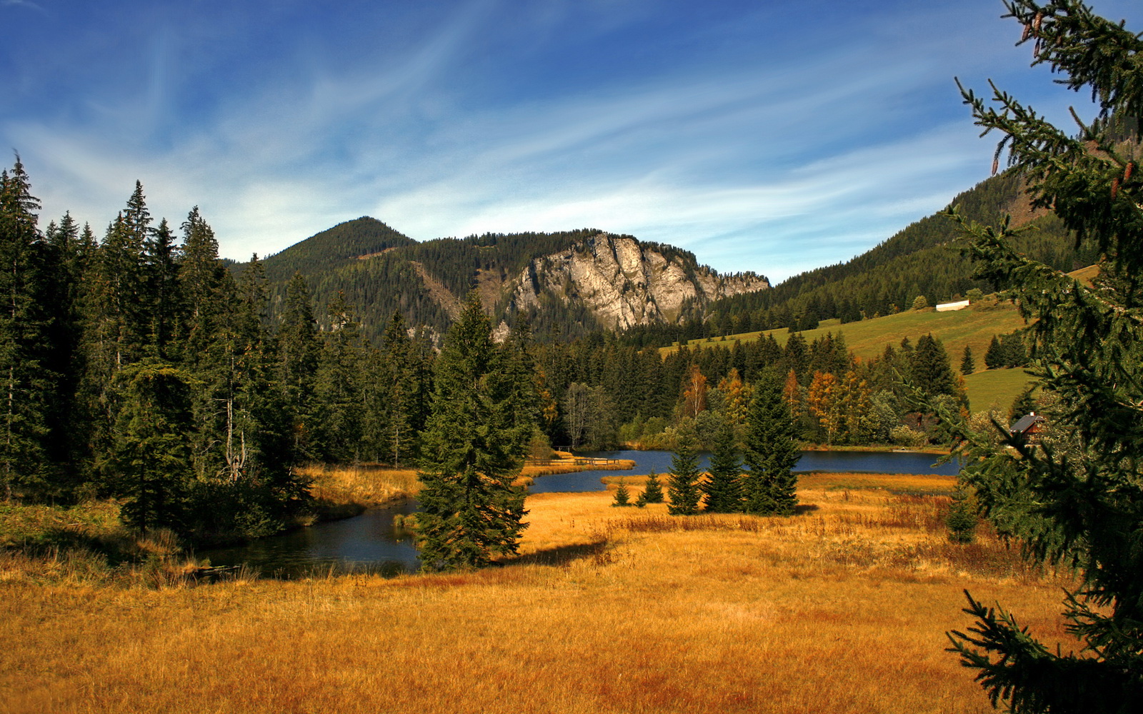 双方厮杀激烈,关键时刻谁能捧得胜利?,双方厮杀的时候