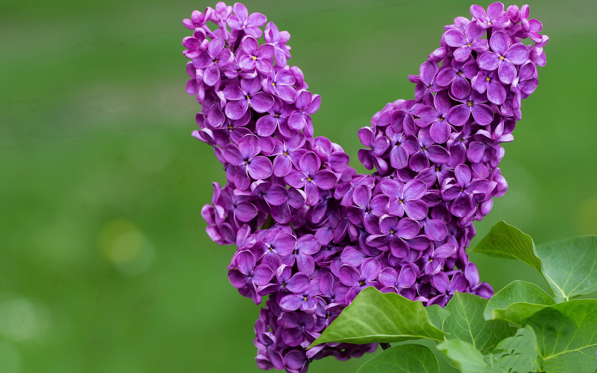 海南夺得赛季最后一场胜利，赛季收官，海南队首发