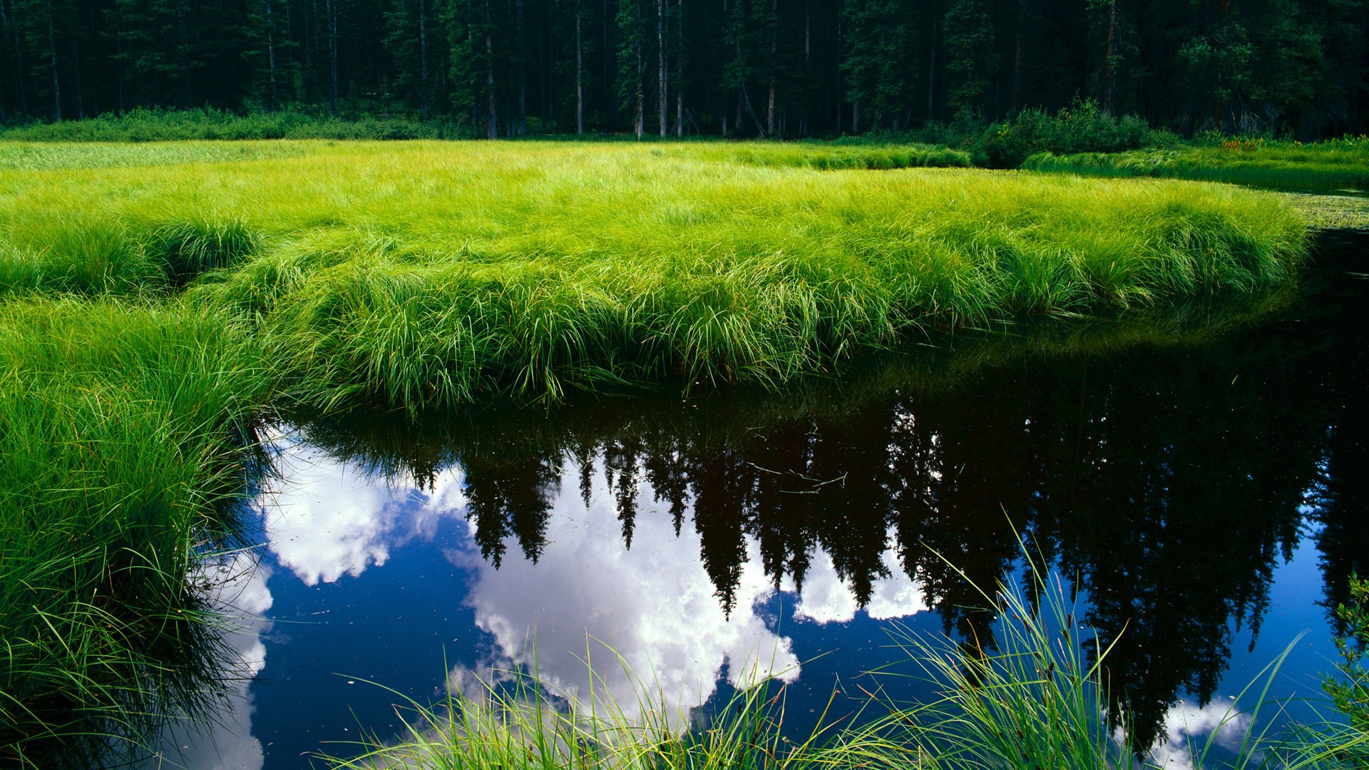 电竞城市成为电竞职业选手的摇篮，电竞在城市发展中的盈利模式