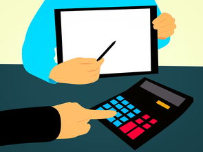 星空体育app下载-体教融合视角下的校内竞赛体系构建方案，学校体教融合经验交流材料