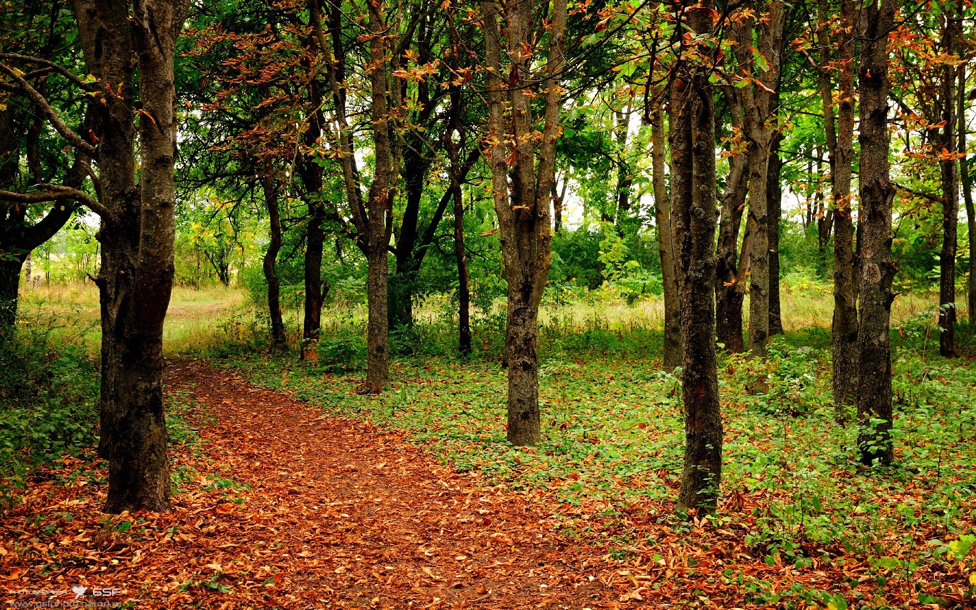 -英超裁判员使用语义分析助力语境判罚一致性，英超联赛裁判