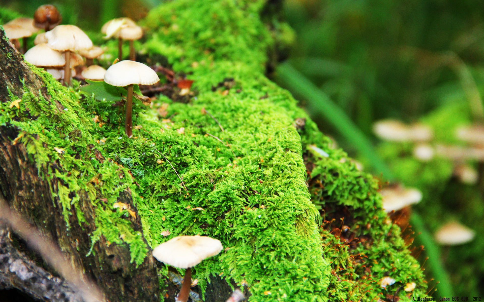 星空官网-联赛伤病多发是否影响排名波动与阵容稳定性，五大联赛伤病