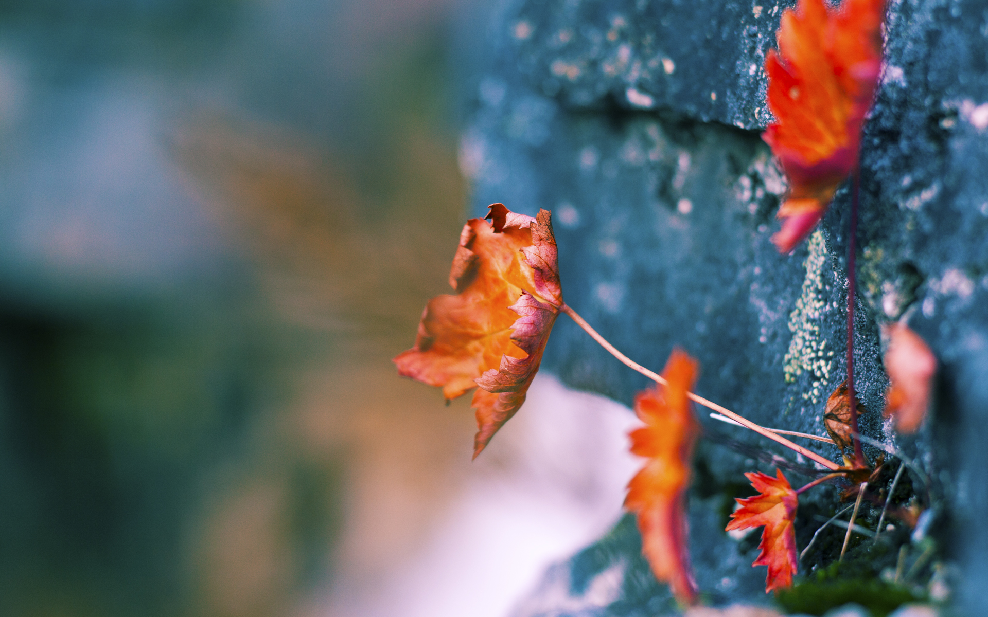 联赛伤病多发是否影响排名波动与阵容稳定性，五大联赛伤病