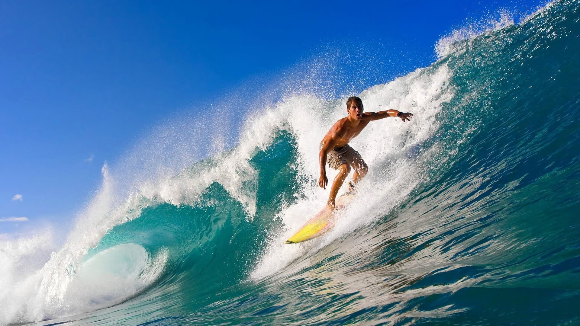 星空app官网-“万众瞩目的季后赛首轮大战，冠军悬念再升级”，季后赛首轮几场